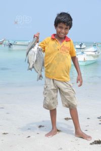 صور من سقطرى