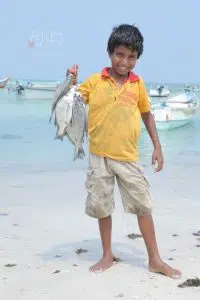 صور من سقطرى