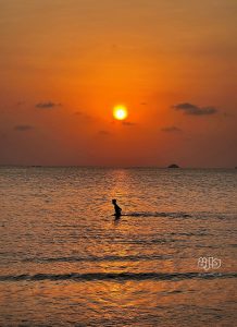 حياة الشارع العدني