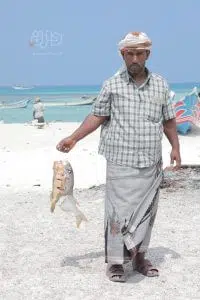 صور من سقطرى