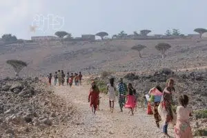 صور من سقطرى